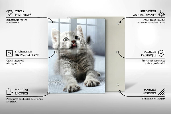 Tábua cozinha Um gatinho fofo