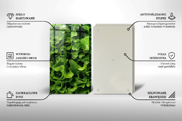 Tábua de cortar de vidro Folhas de alface verde