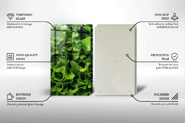 Tábua de cortar de vidro Folhas de alface verde