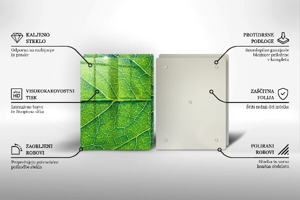 Tábua para corte Natureza das nervuras das folhas