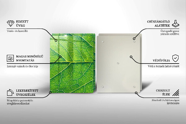 Tábua para corte Natureza das nervuras das folhas