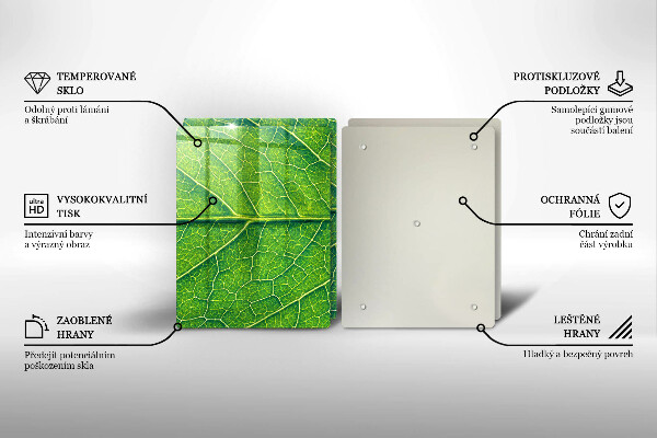 Tábua para corte Natureza das nervuras das folhas