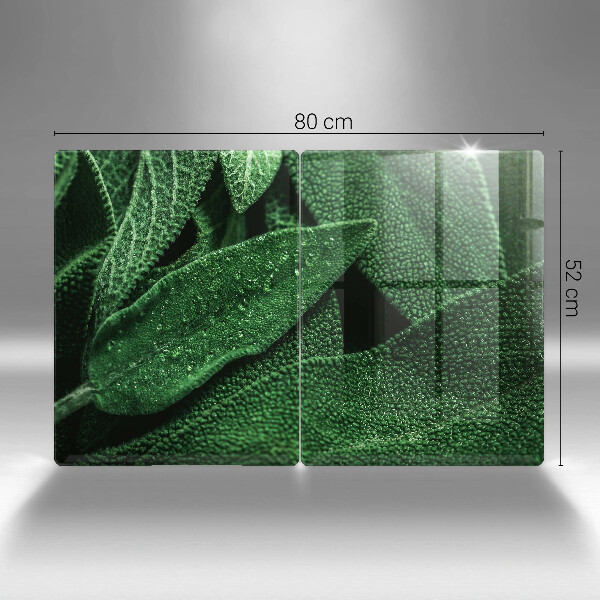 Tábua cozinha As folhas da planta