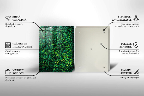 Tábua de corte de vidro Planta com folhas pequenas