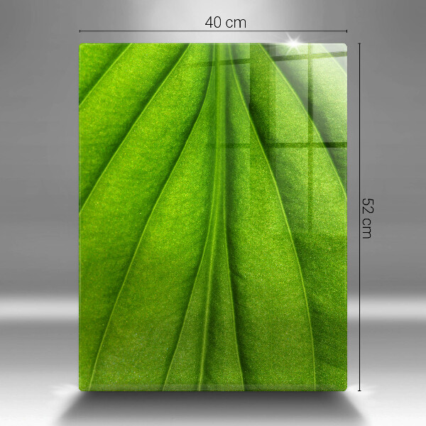 Tábua de corte Natureza das nervuras das folhas