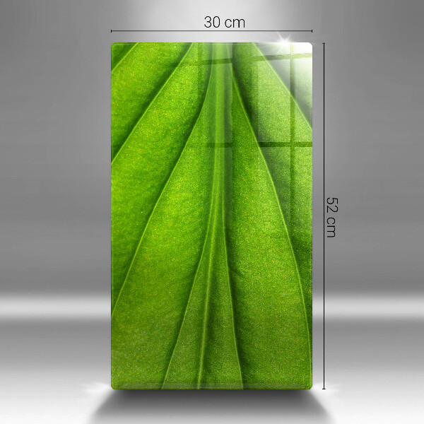 Tábua de corte Natureza das nervuras das folhas