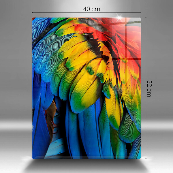 Tábua corte Penas coloridas de papagaio