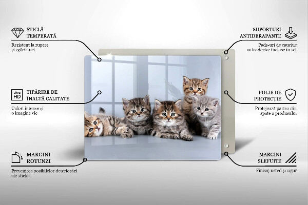 Tábua de corte de vidro Gatinhos fofos