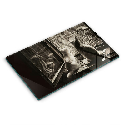 Tábua de corte Cidade dos gatos e janela