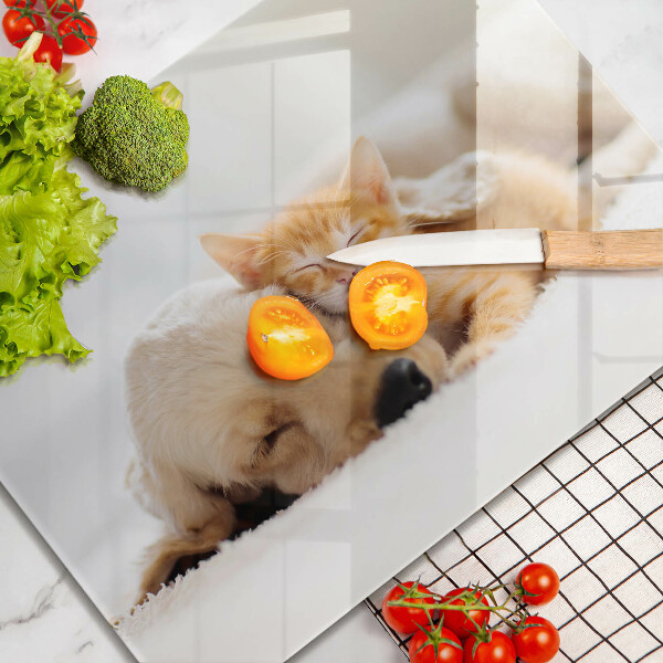 Tábua corte Animais cão e gato