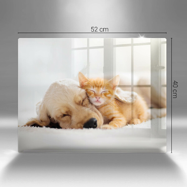 Tábua corte Animais cão e gato