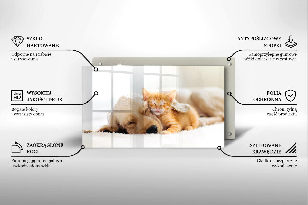 Tábua corte Animais cão e gato