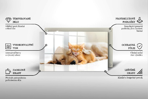 Tábua corte Animais cão e gato