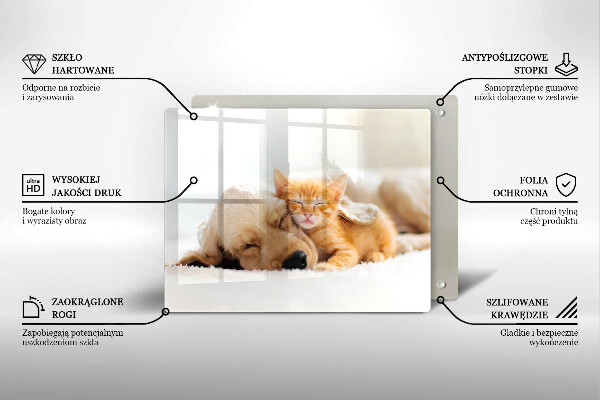 Tábua corte Animais cão e gato