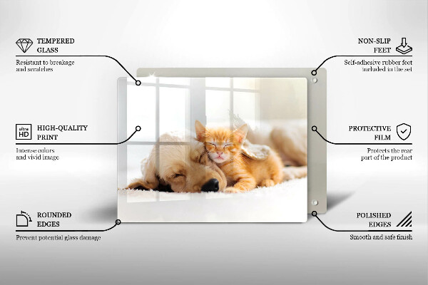 Tábua corte Animais cão e gato