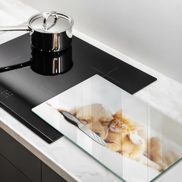 Tábua corte Animais cão e gato