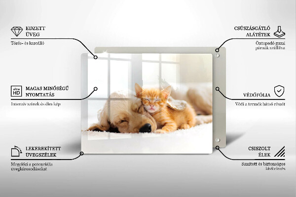 Tábua corte Animais cão e gato