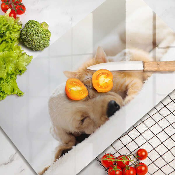 Tábua corte Animais cão e gato