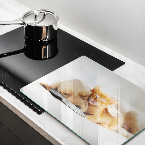 Tábua corte Animais cão e gato