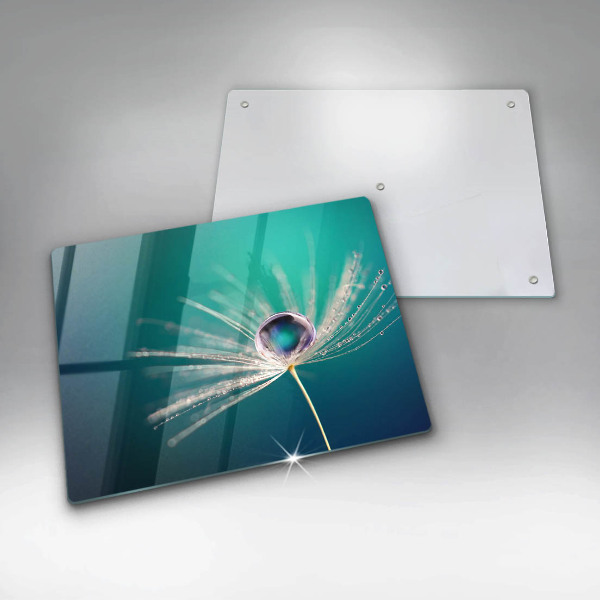 Tábua de cortar de vidro Orvalho em um dente-de-leão