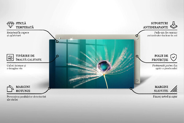 Tábua de cortar de vidro Orvalho em um dente-de-leão