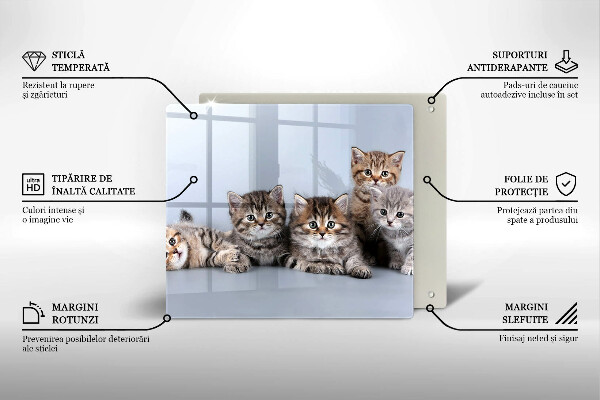 Tábua de corte de vidro Gatinhos fofos