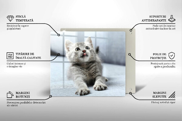 Tábua corte Um gatinho fofo