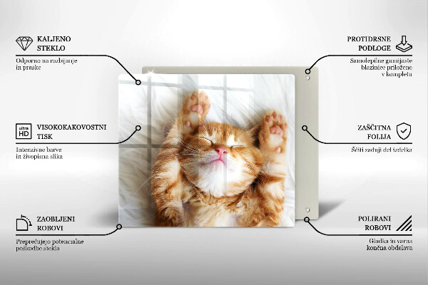 Tábua de cortar alimentos Gatinho doce