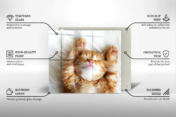 Tábua de cortar alimentos Gatinho doce