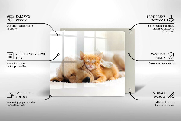 Tábua corte Animais cão e gato