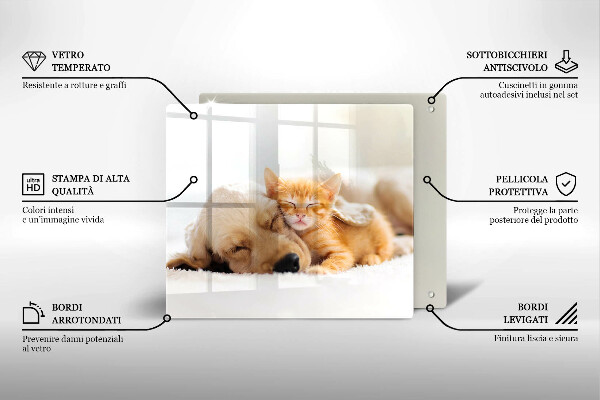 Tábua corte Animais cão e gato