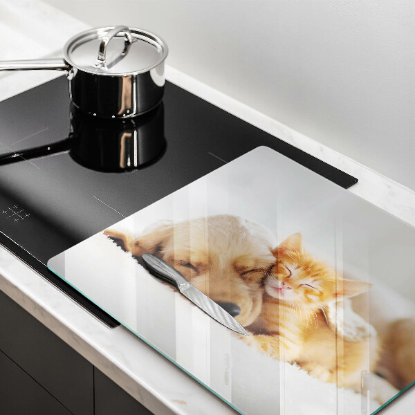 Tábua corte Animais cão e gato