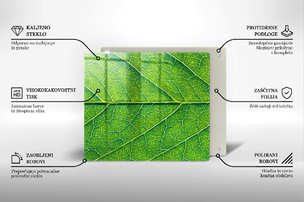 Tábua para corte Natureza das nervuras das folhas
