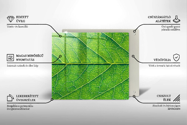 Tábua para corte Natureza das nervuras das folhas