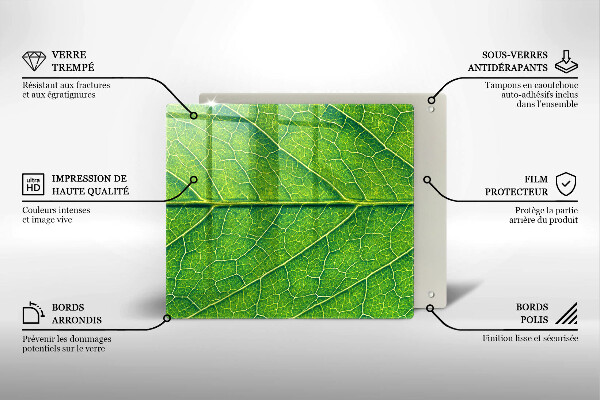Tábua para corte Natureza das nervuras das folhas