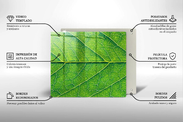 Tábua para corte Natureza das nervuras das folhas