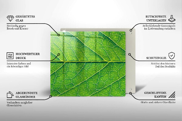 Tábua para corte Natureza das nervuras das folhas