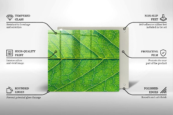 Tábua para corte Natureza das nervuras das folhas