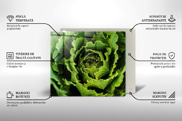 Tábua de cortar alimentos Comer folhas de alface