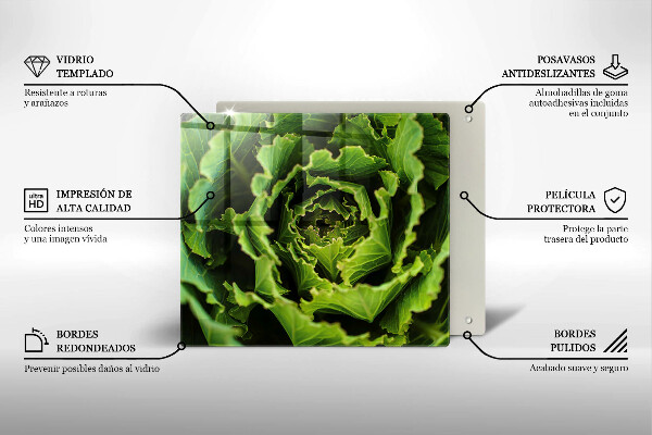 Tábua de cortar alimentos Comer folhas de alface