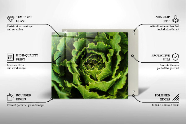 Tábua de cortar alimentos Comer folhas de alface