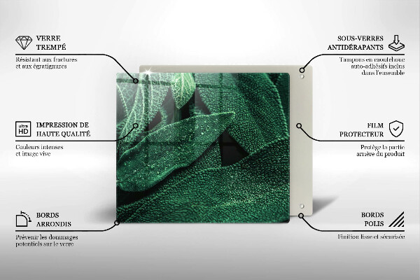 Tábua para corte As folhas da planta