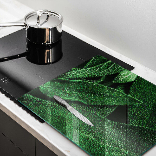 Tábua para corte As folhas da planta