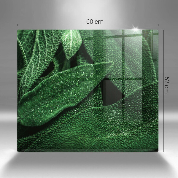 Tábua para corte As folhas da planta