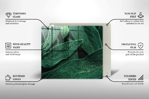 Tábua para corte As folhas da planta