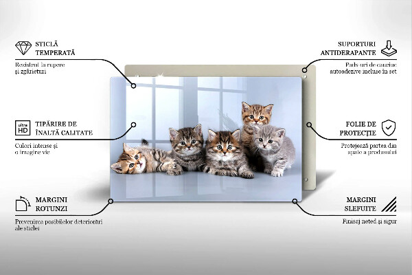 Tábua de vidro Gatinhos fofos