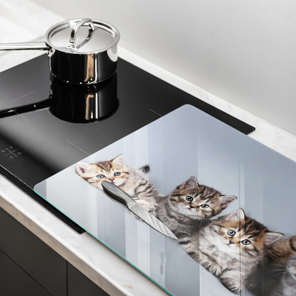 Tábua de vidro Gatinhos fofos