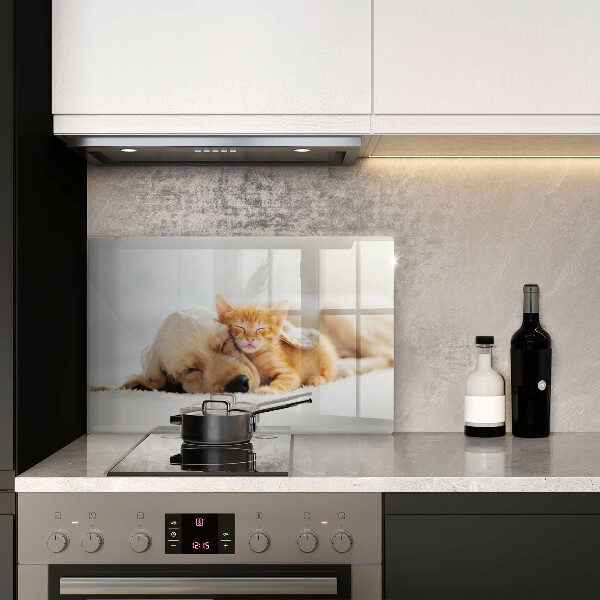 Tábua de corte de vidro Animais cão e gato