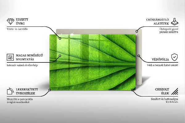 Tábua de corte Natureza das nervuras das folhas