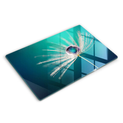 Tábua de cortar de vidro Orvalho em um dente-de-leão